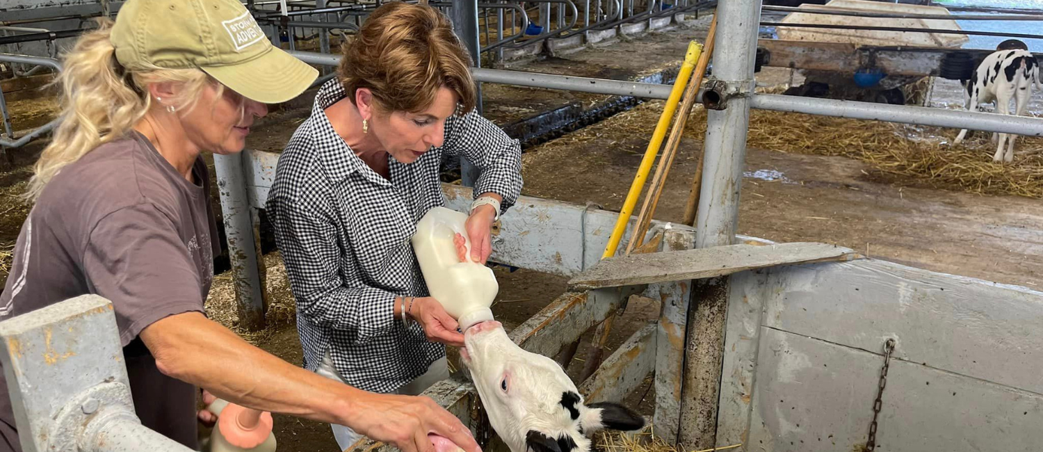 Stephanie Williams feeds baby calf